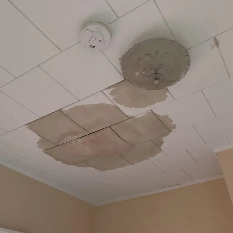 Ceiling Water Damage Repair in South Coventry, CT