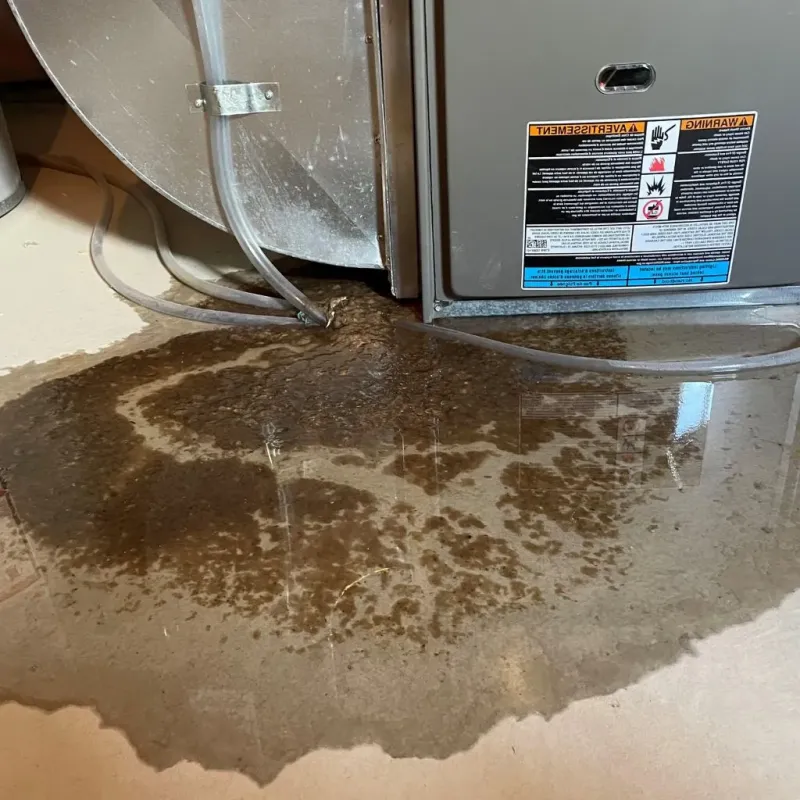 Pipe Burst and Leak Restoration in South Coventry, CT