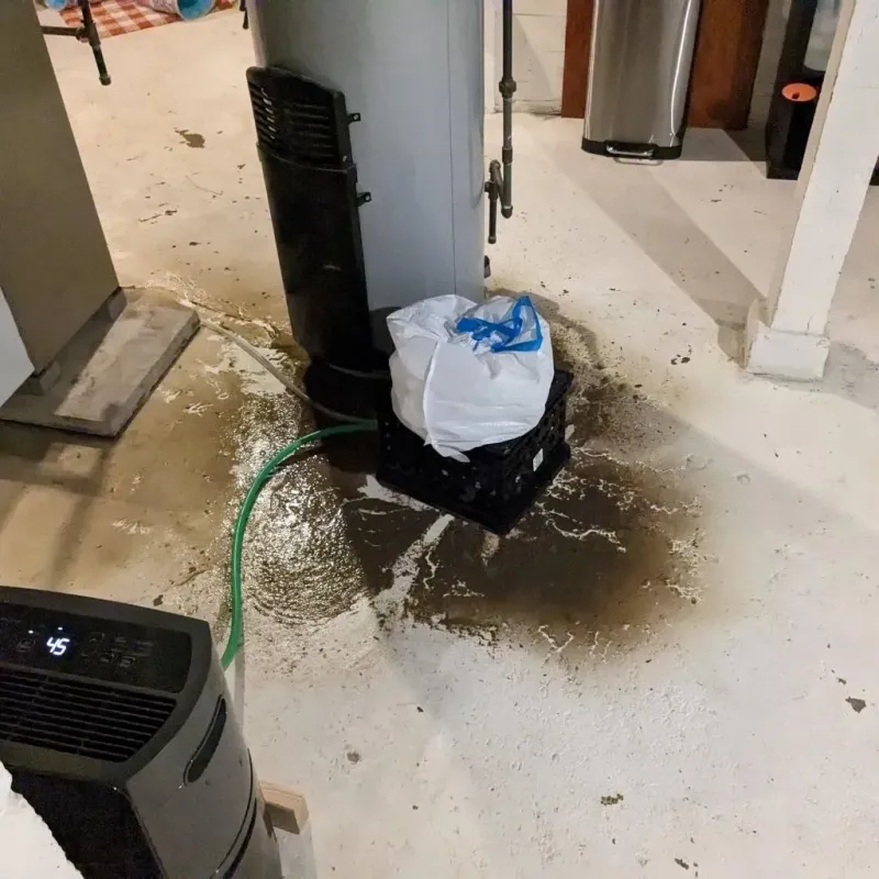 Sewage Backup Cleanup Service in South Coventry, CT